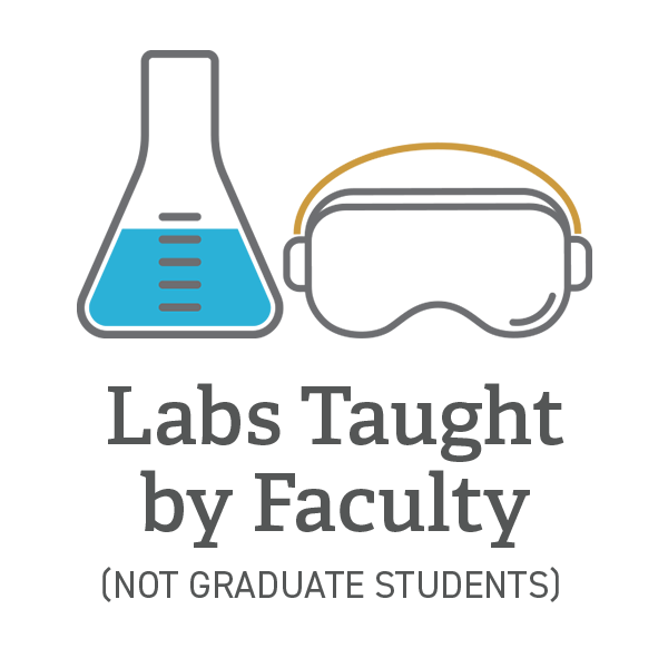 Labs Taught by Faculty not Graduate Students