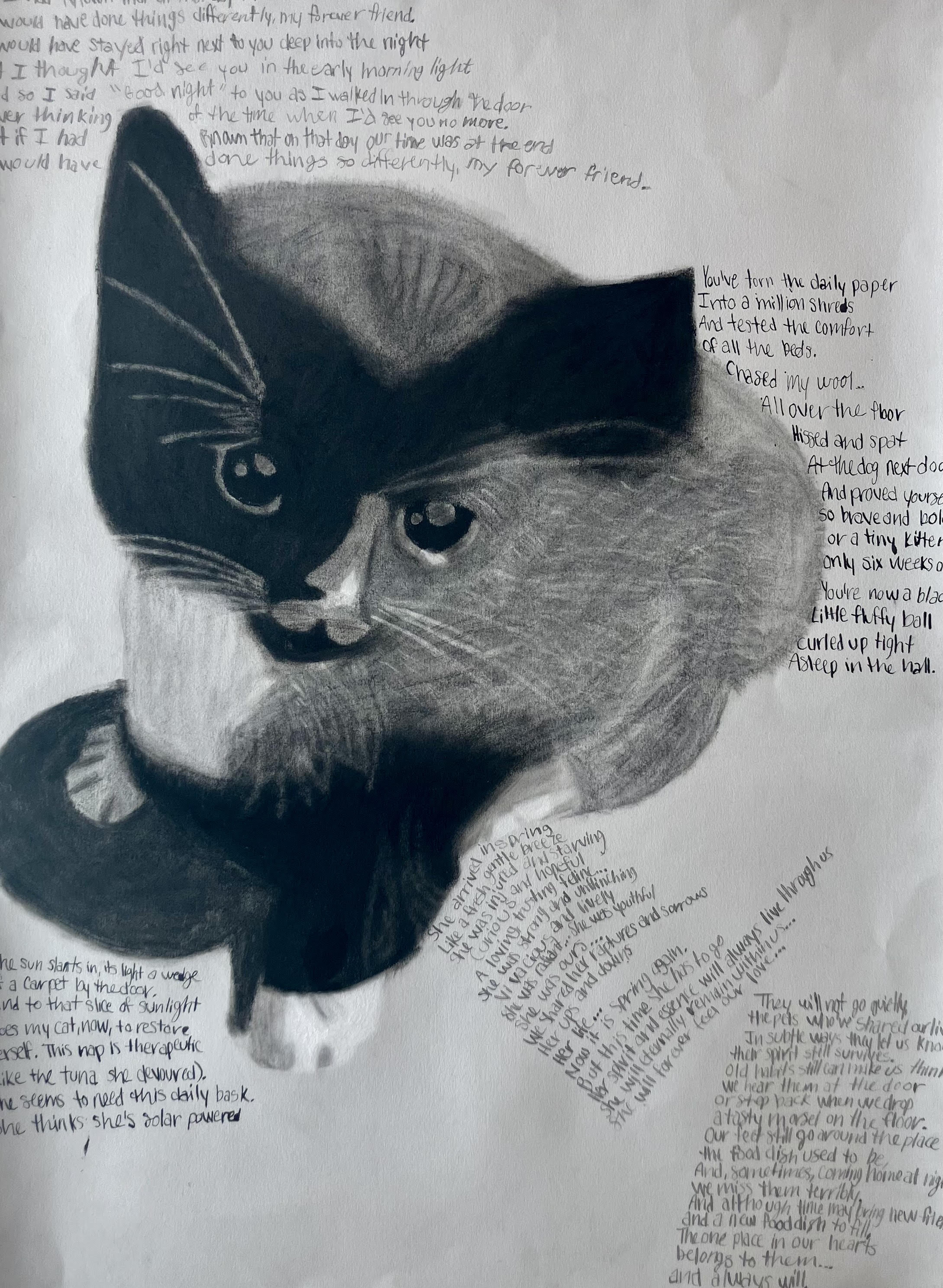 Honorable Mention: Dakota Nepple, “Stella”