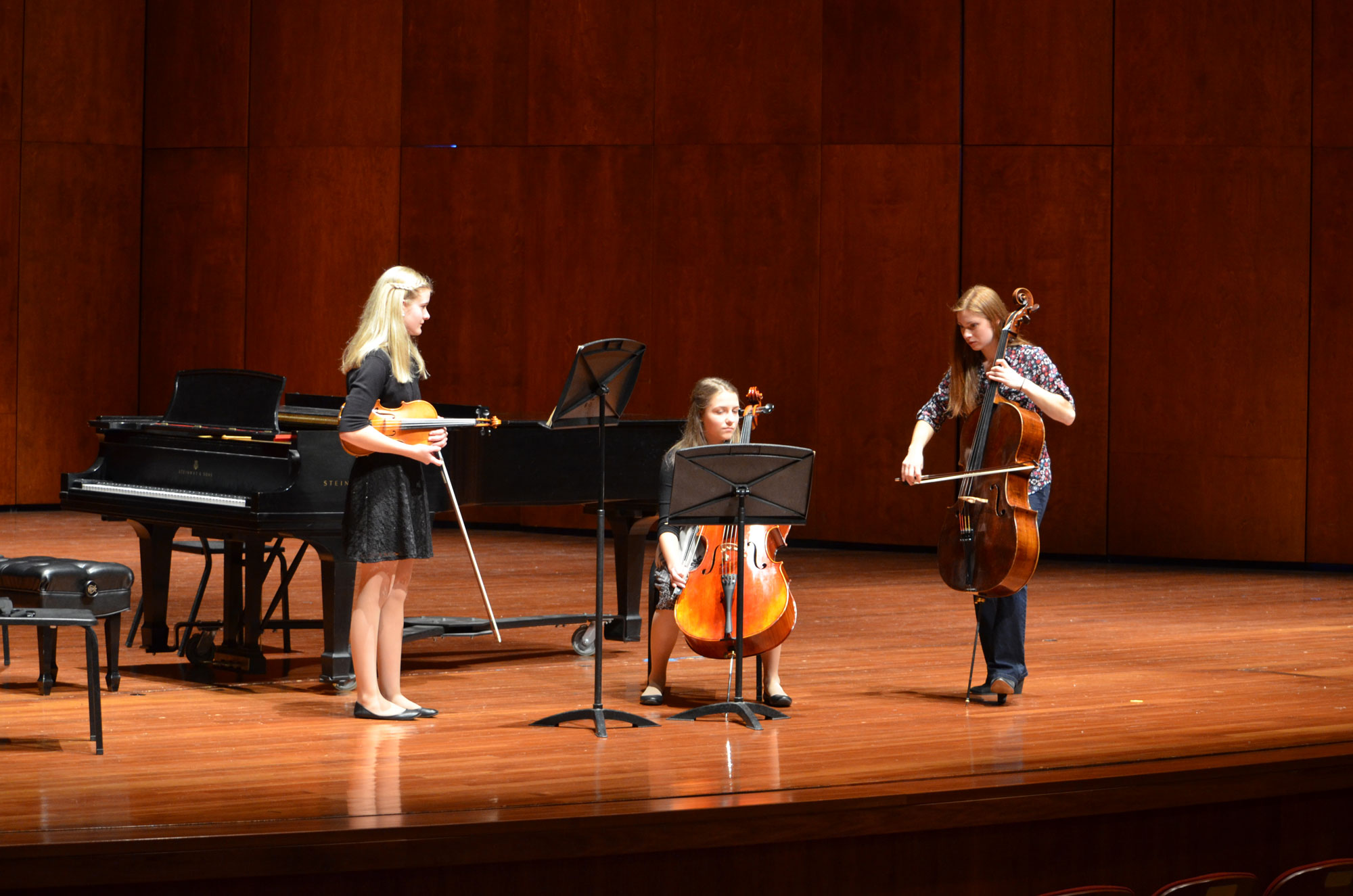 Seton Hill University Department of Music - Masterclass with Cellist Cicely Parnas