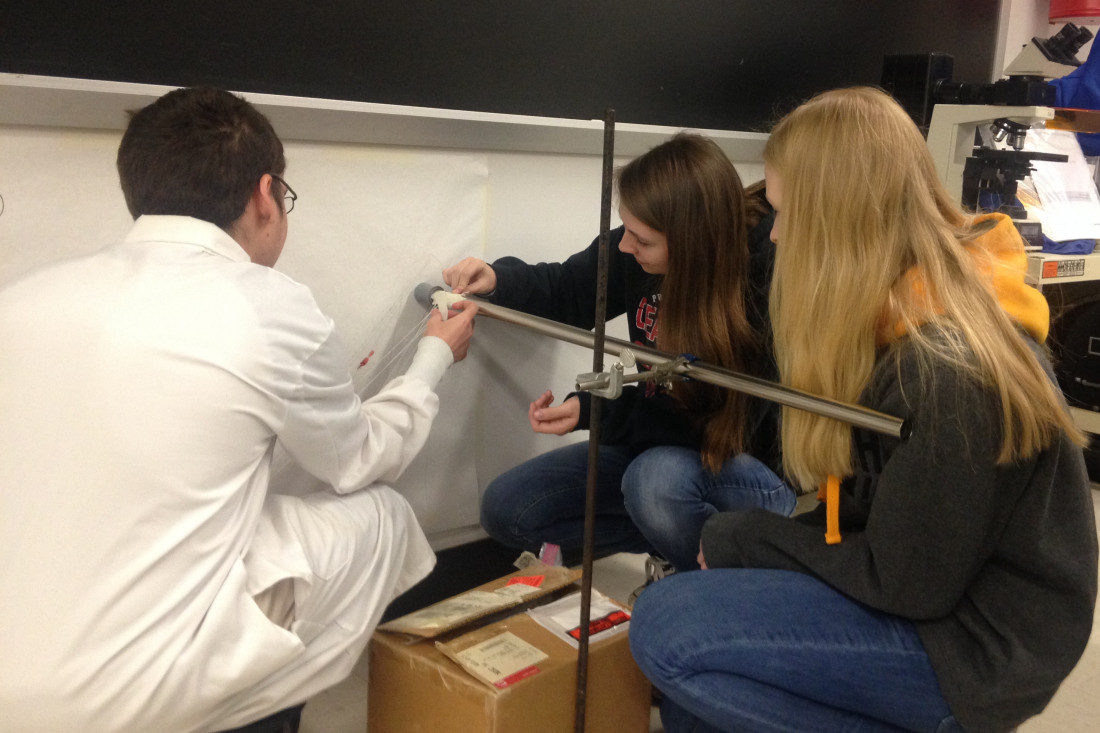 Forensic Science students examine a bloodstain pattern analysis demonstration.