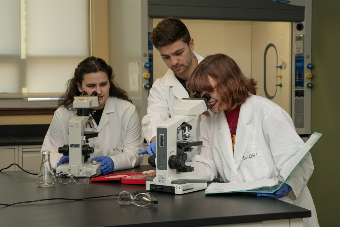 Students work together in a lab in the Boyle Health Sciences Center.