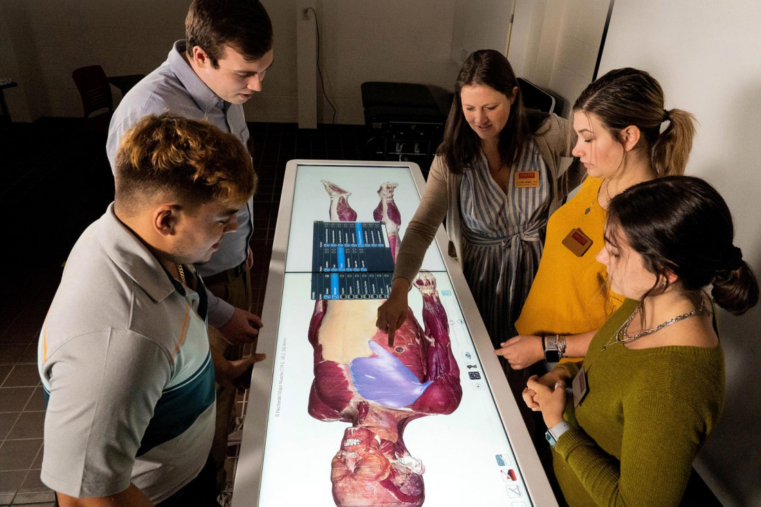 Students learn about human anatomy by using an Anatomage table.