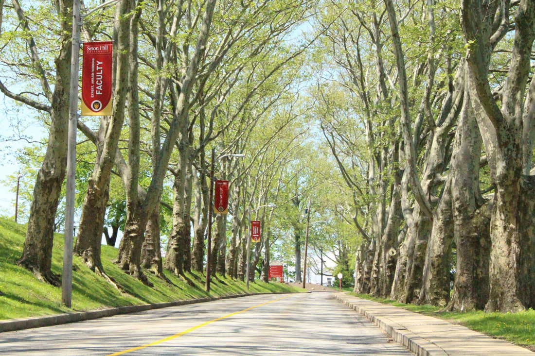 SHU Entrance Drive