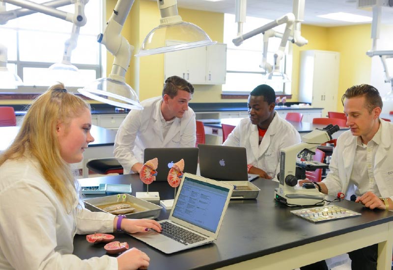 seton hill students in a biology lab